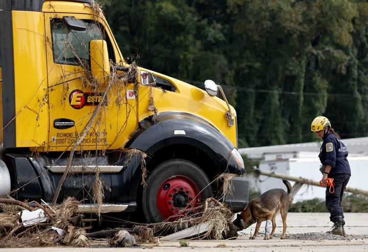 A member of a Federal Emergency Management Agency task force uses a search canine in the aftermath of Helene in Asheville, North Carolina.